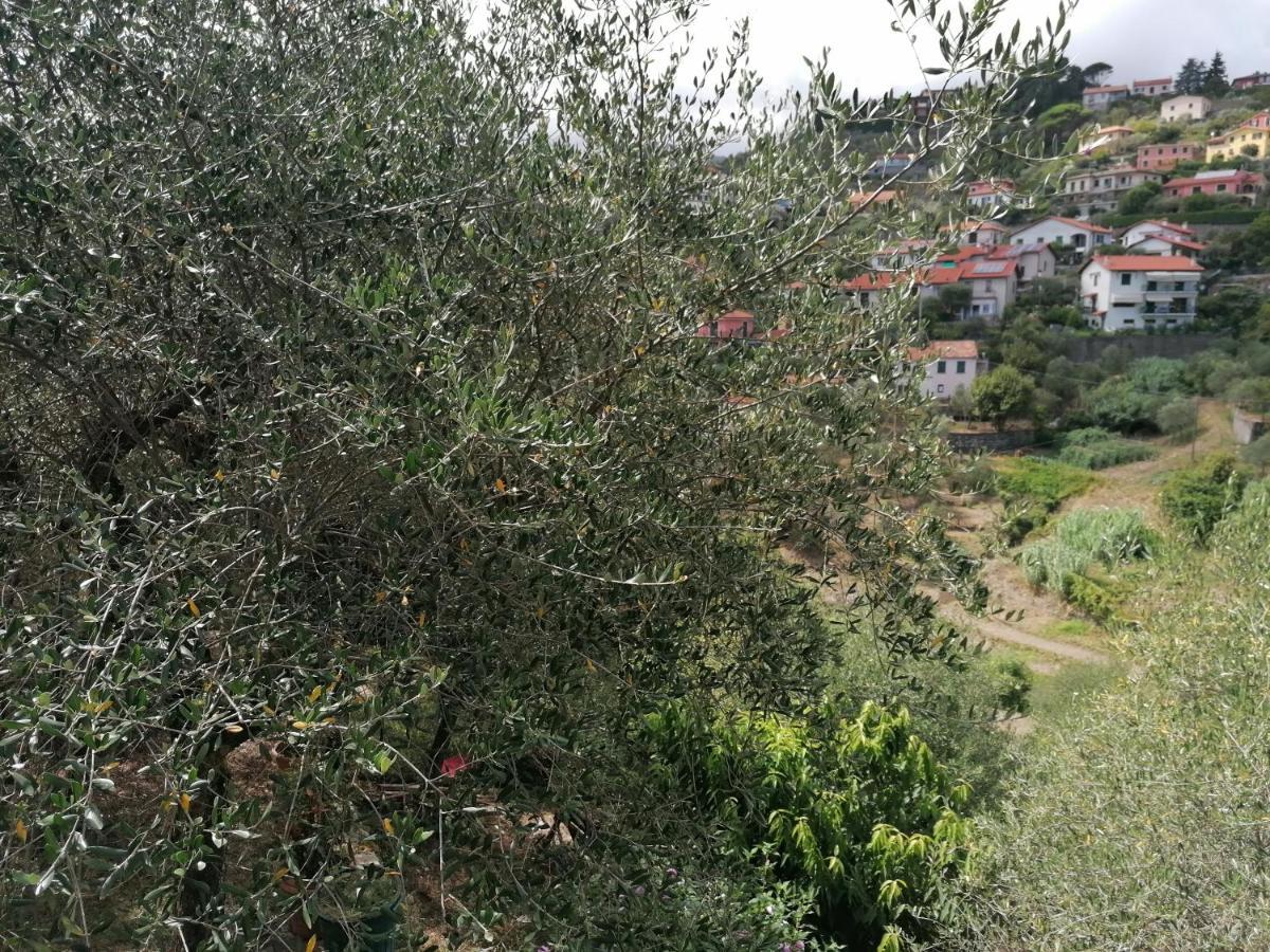 Nonna Paola Guest House Leivi 外观 照片