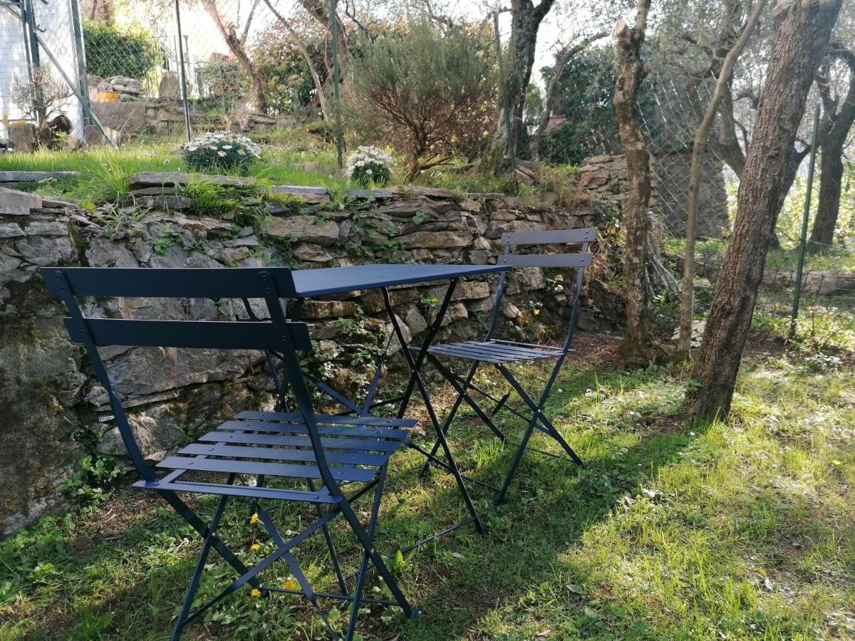 Nonna Paola Guest House Leivi 外观 照片